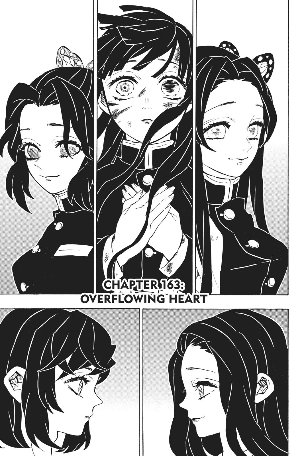 Read Demon Slayer_ Kimetsu no Yaiba EN Manga Online
