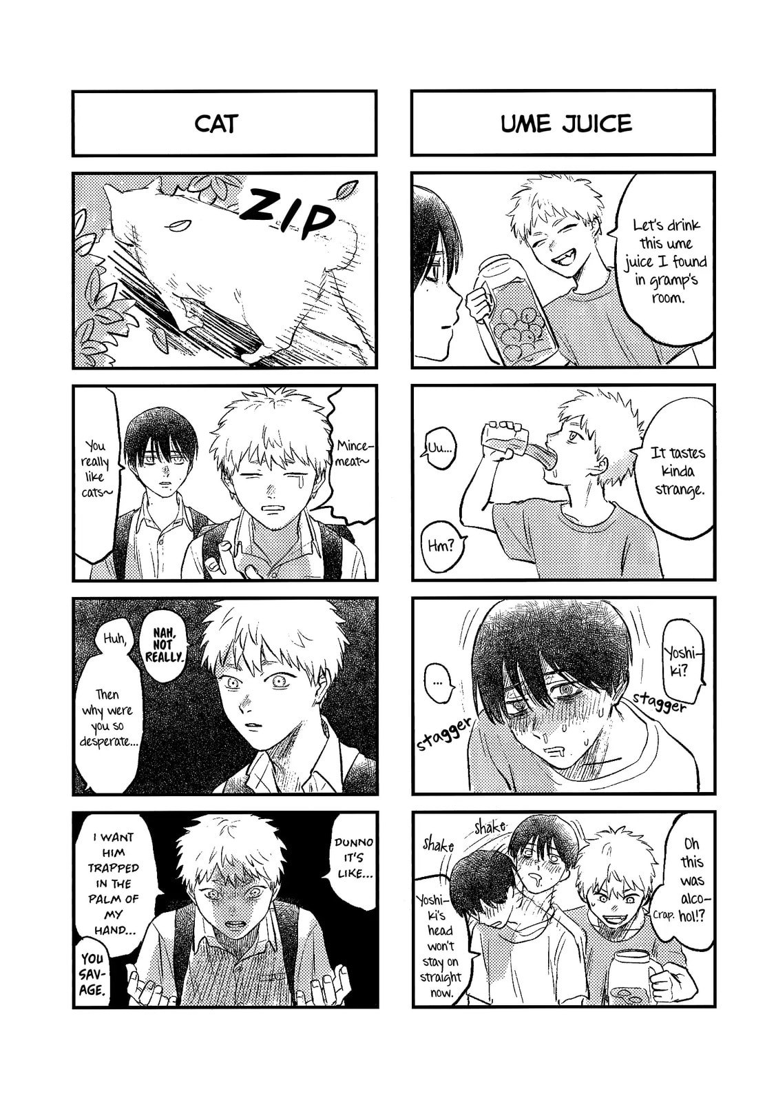 Read Hikaru ga Shinda Natsu EN Manga Online