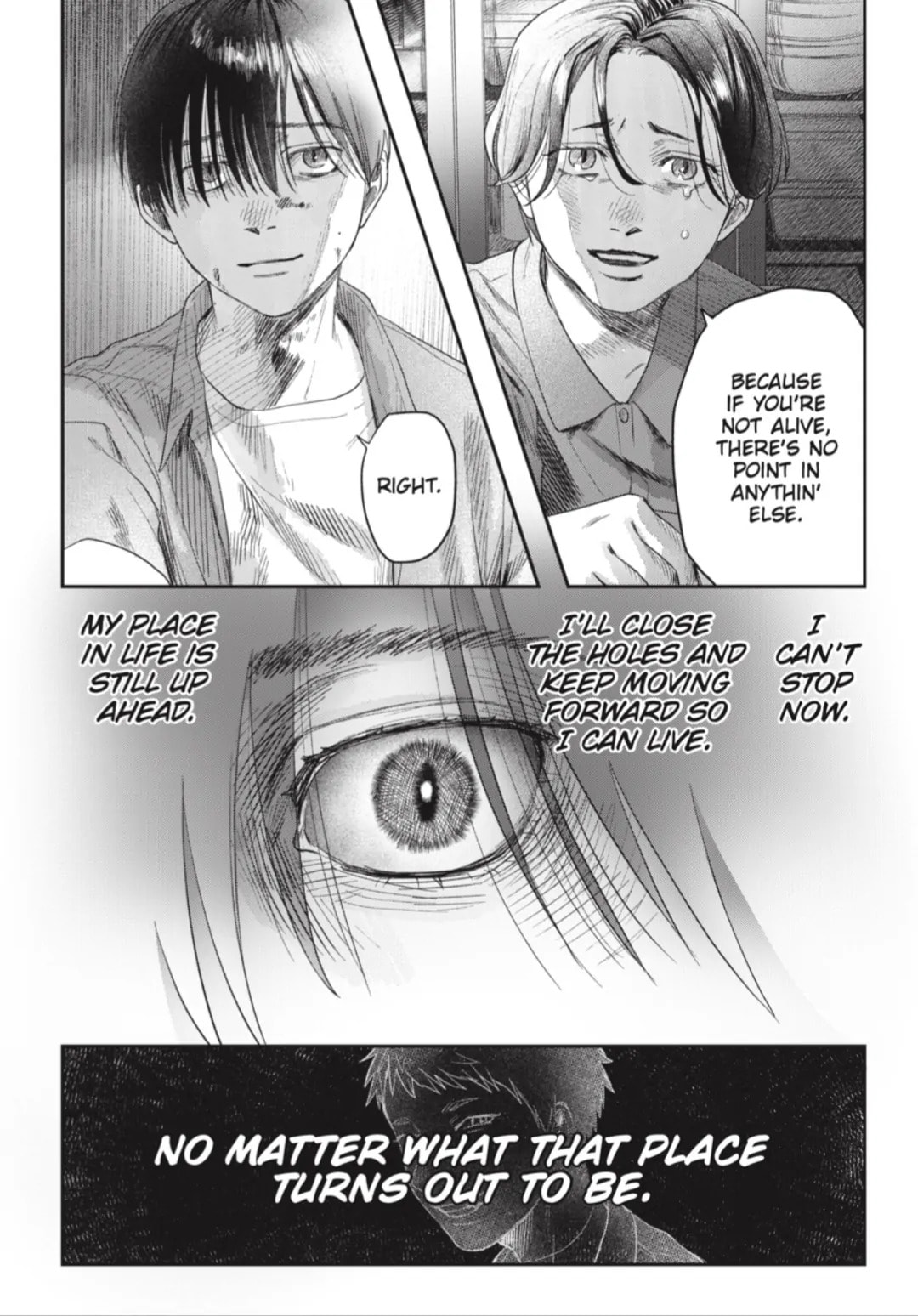 Read Hikaru ga Shinda Natsu EN Manga Online