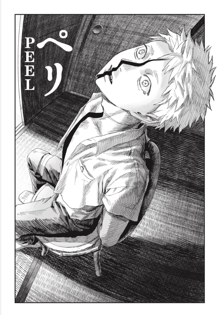 Read Hikaru ga Shinda Natsu EN Manga Online