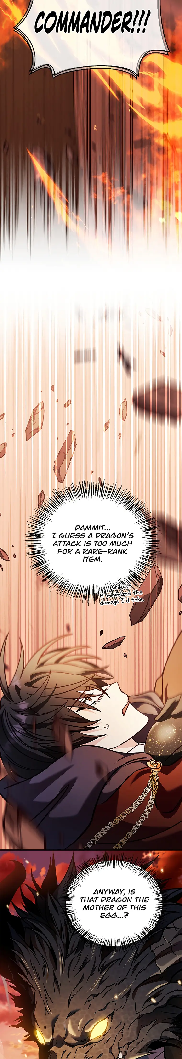 Read Regressor Instruction Manual EN Manga Online