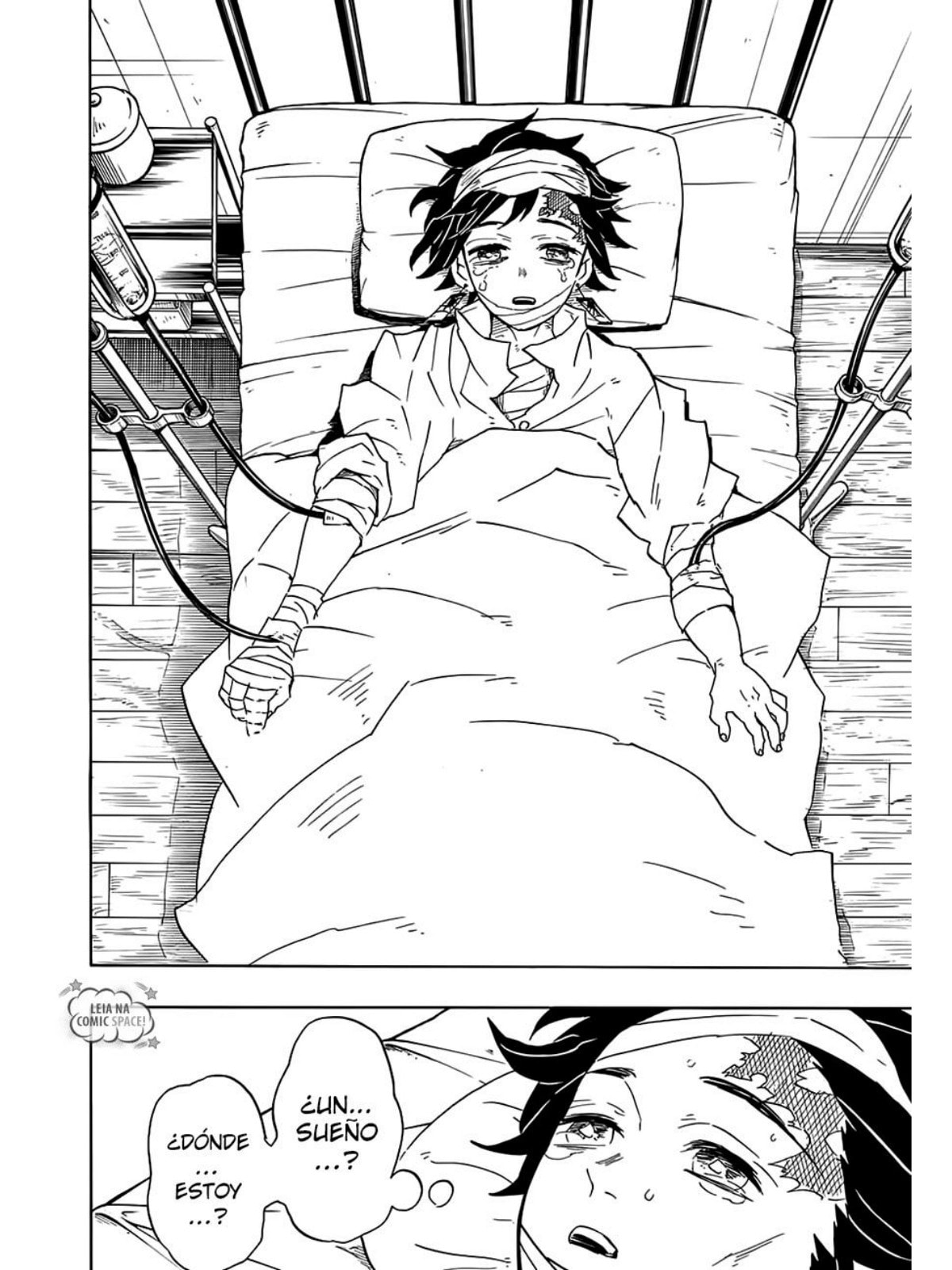 Read Demon Slayer_ Kimetsu no Yaiba ES Manga Online