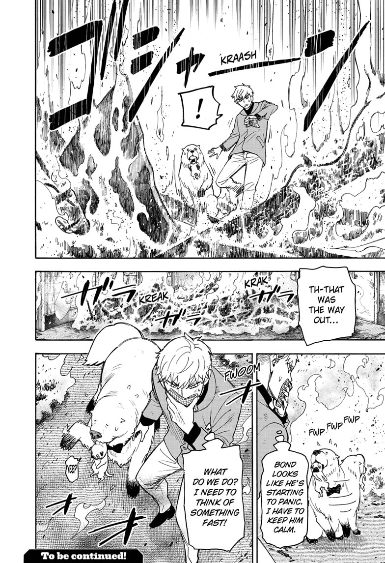 Read SPY×FAMILY ES Manga Online