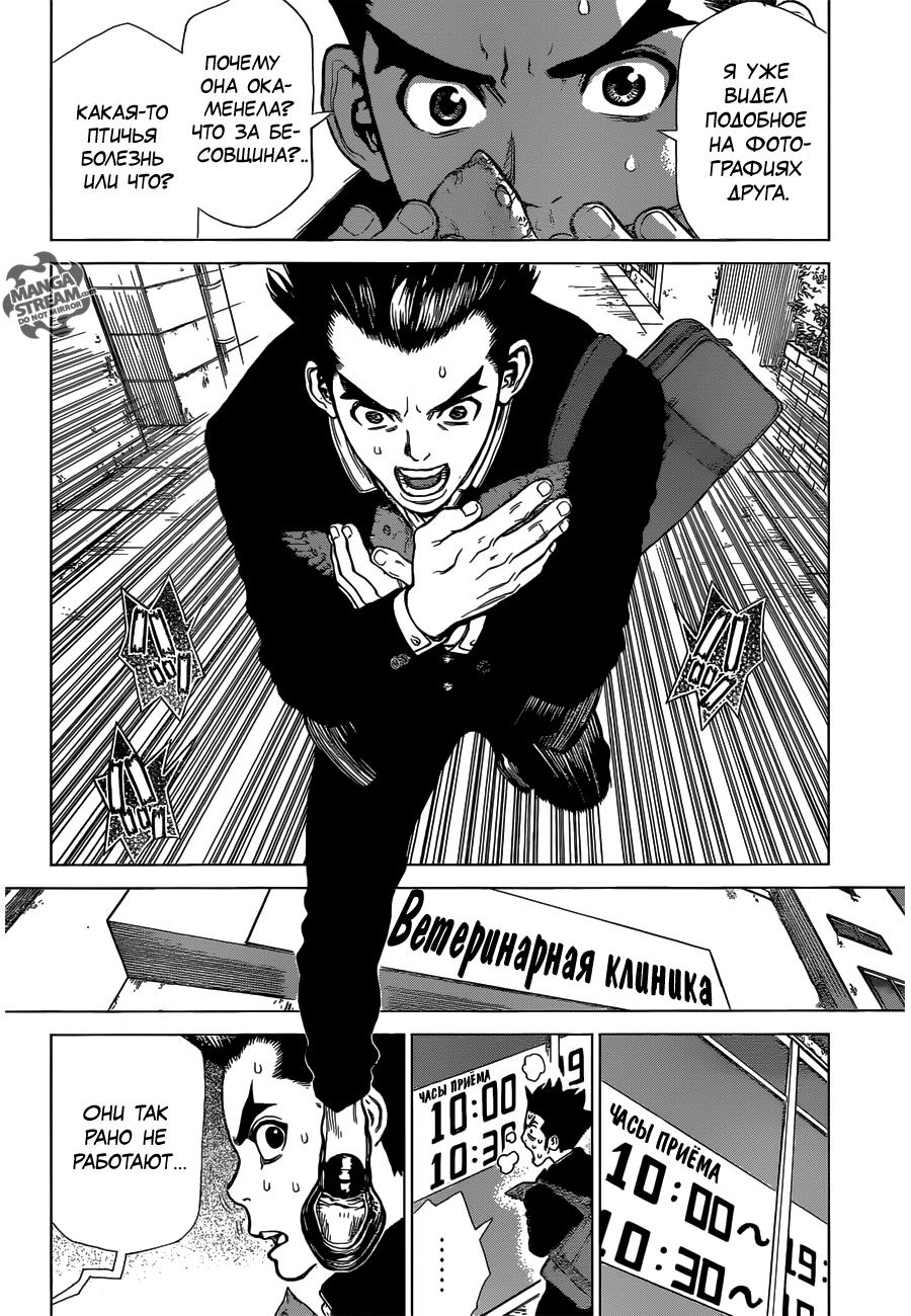 Read Dr. Stone RU Manga Online