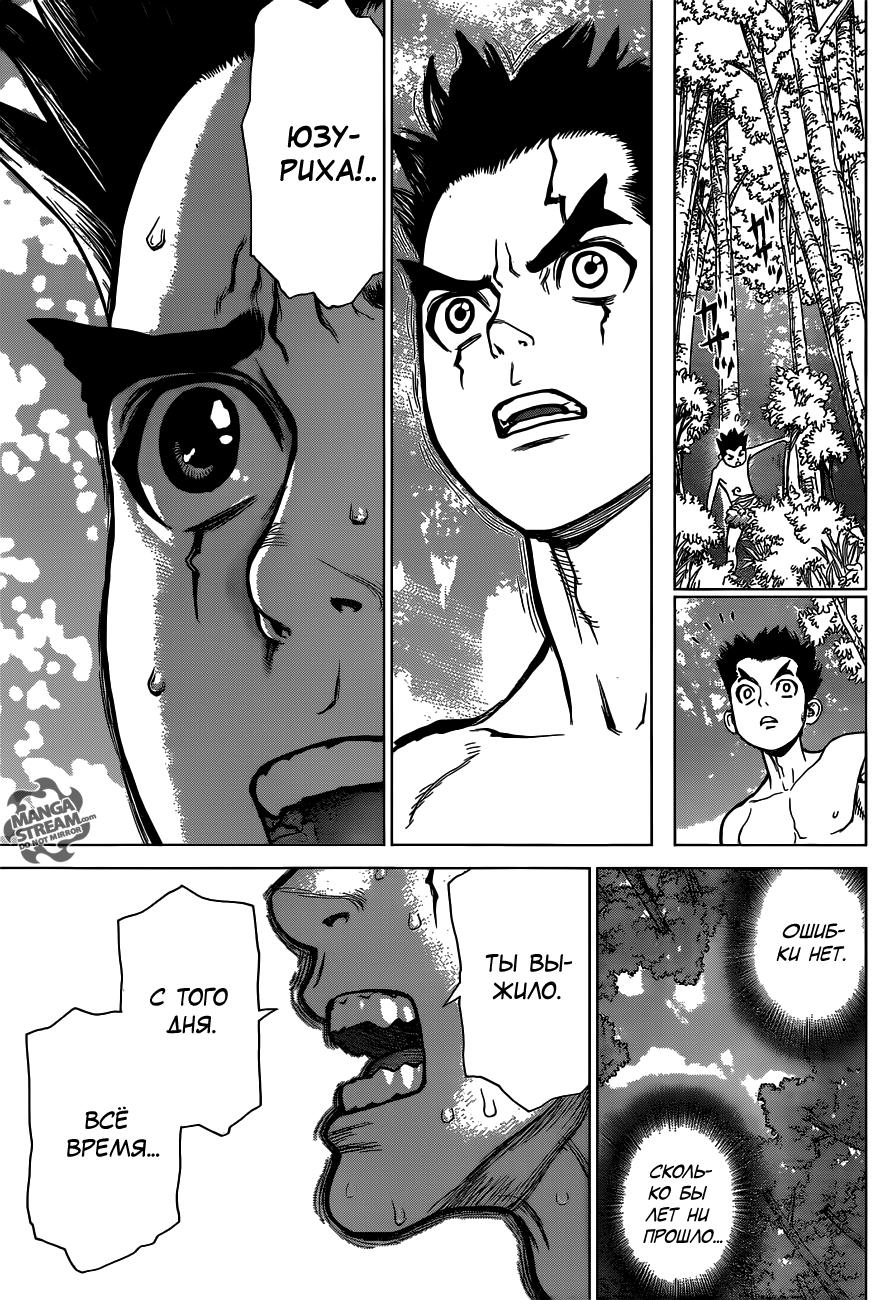 Read Dr. Stone RU Manga Online