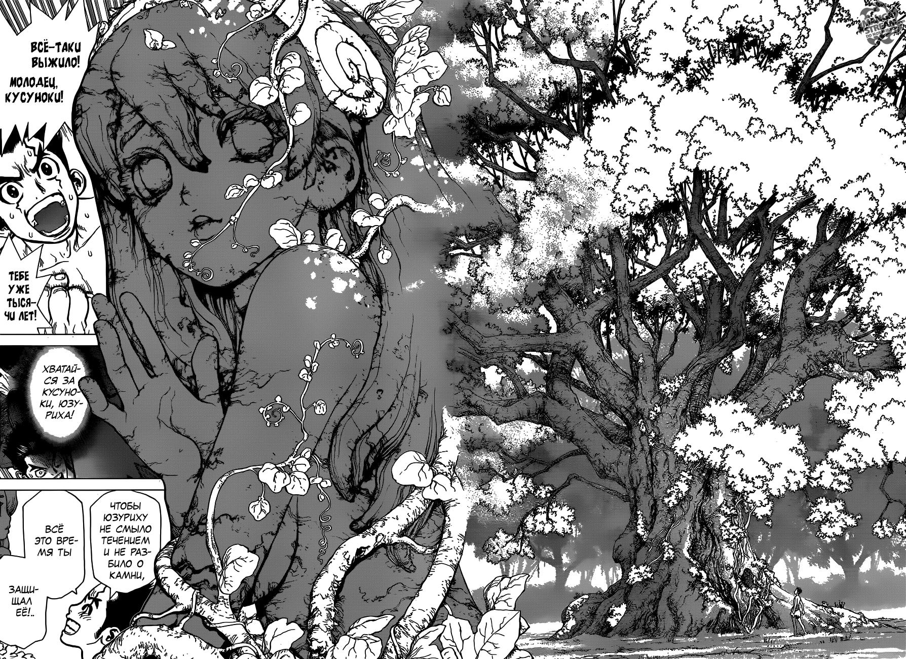 Read Dr. Stone RU Manga Online