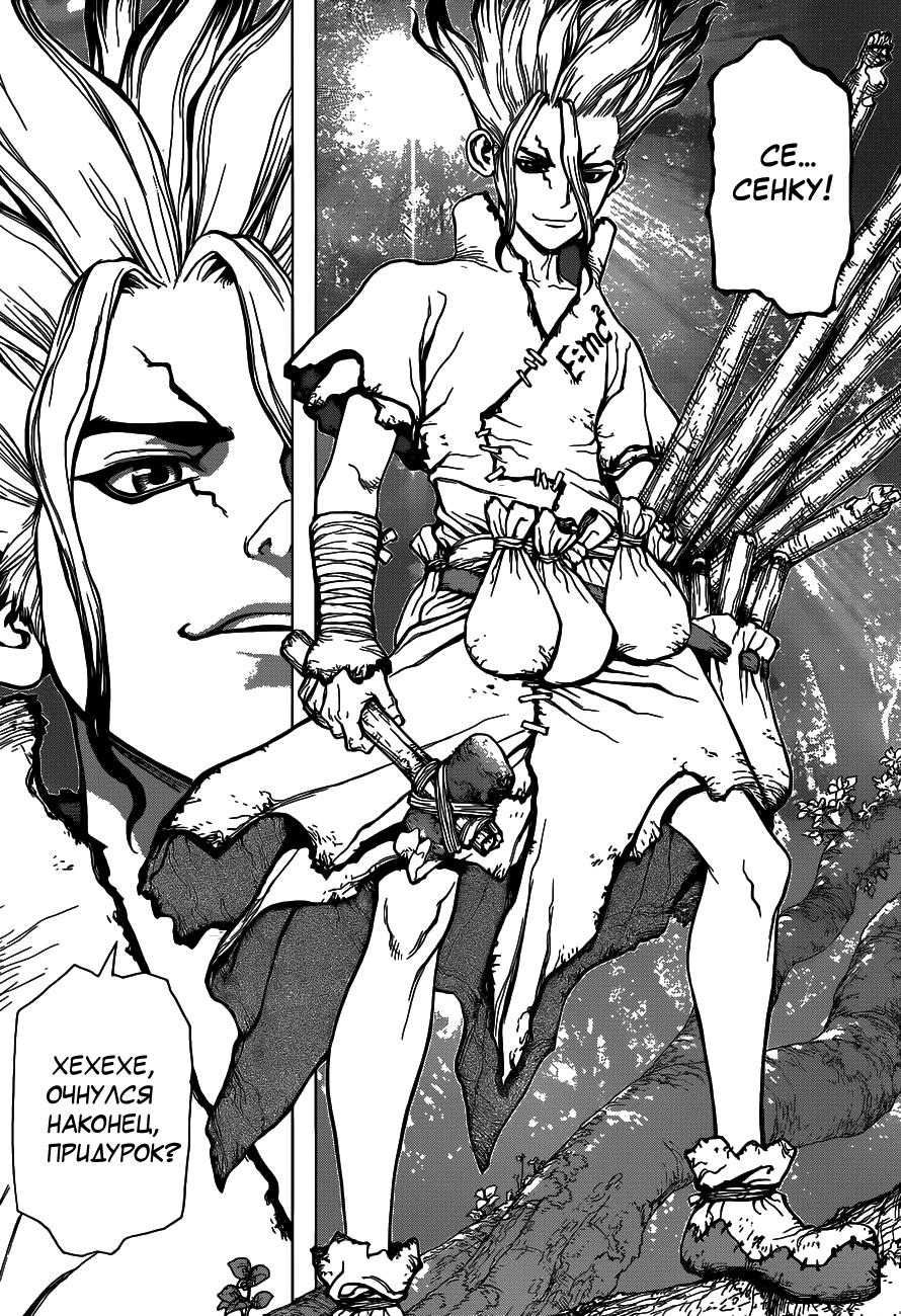 Read Dr. Stone RU Manga Online