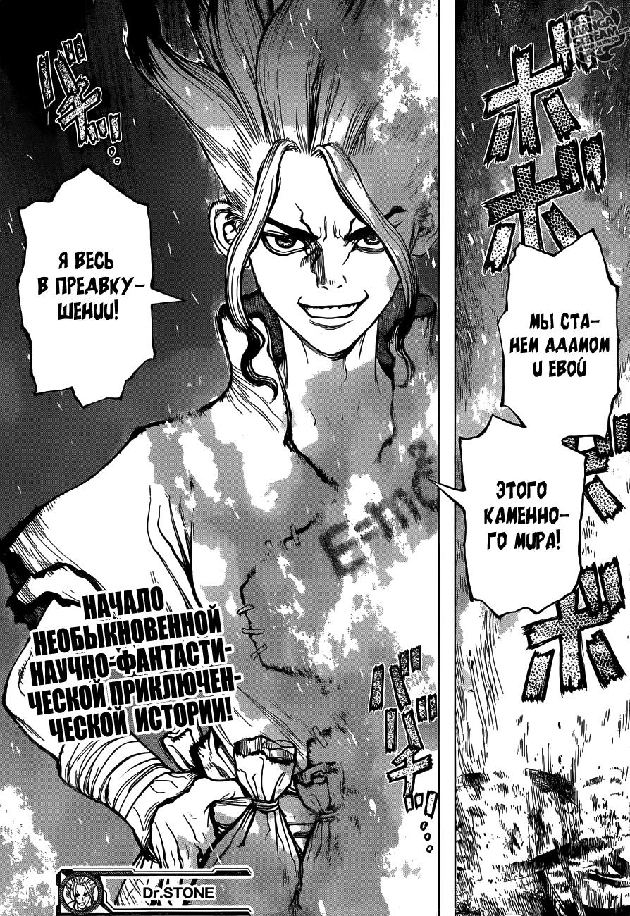 Read Dr. Stone RU Manga Online
