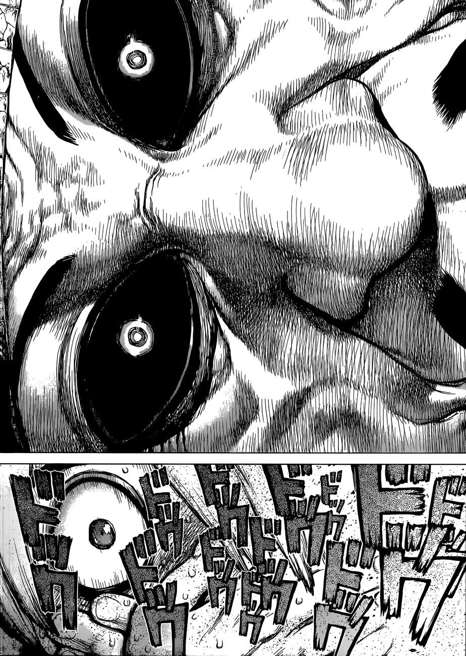 Read Dr. Stone RU Manga Online