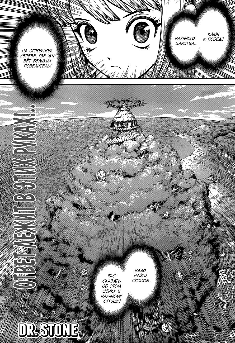 Read Dr. Stone RU Manga Online