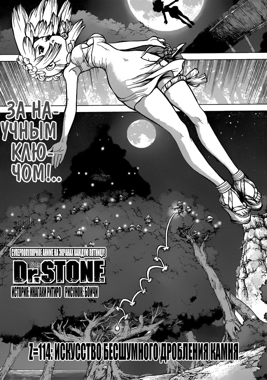 Read Dr. Stone RU Manga Online