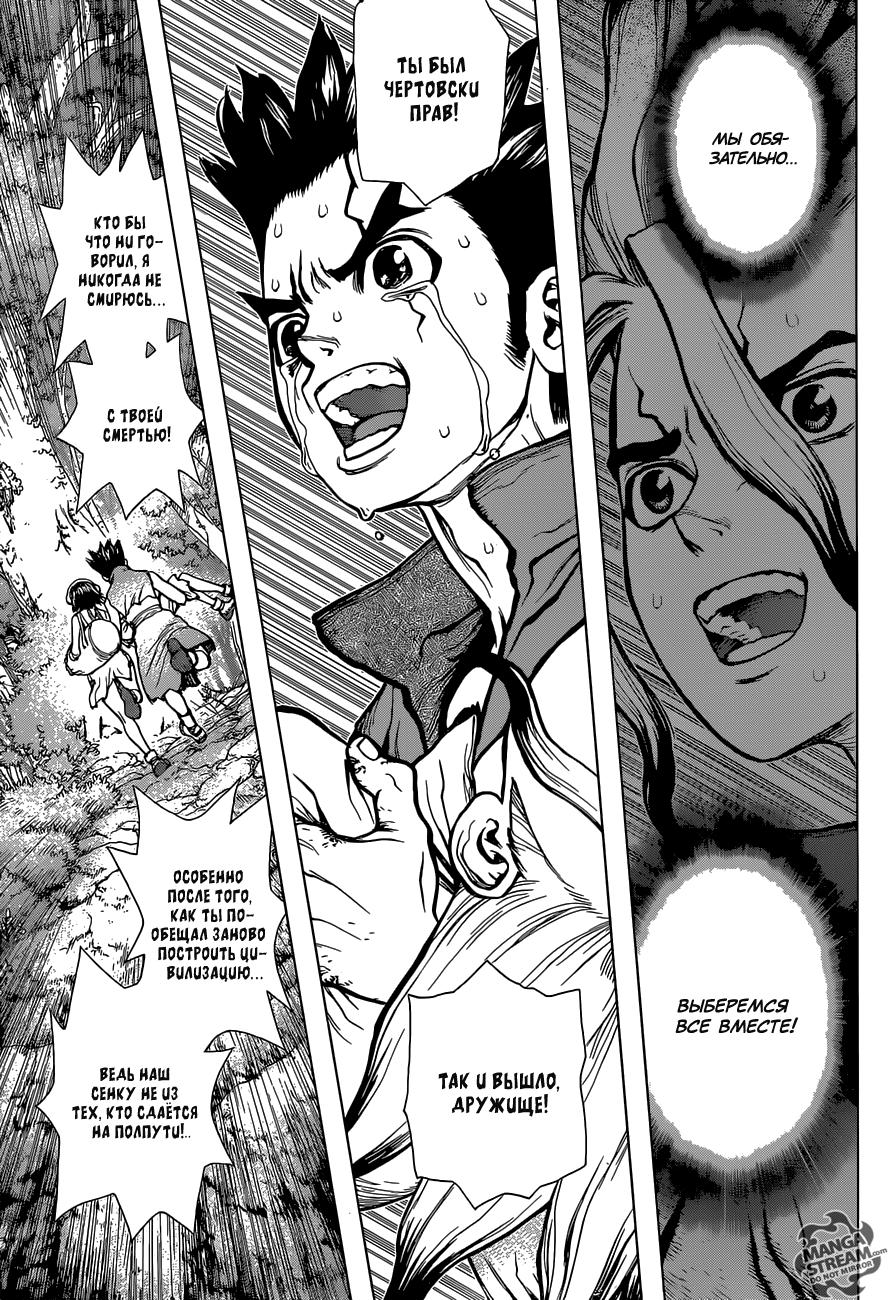 Read Dr. Stone RU Manga Online