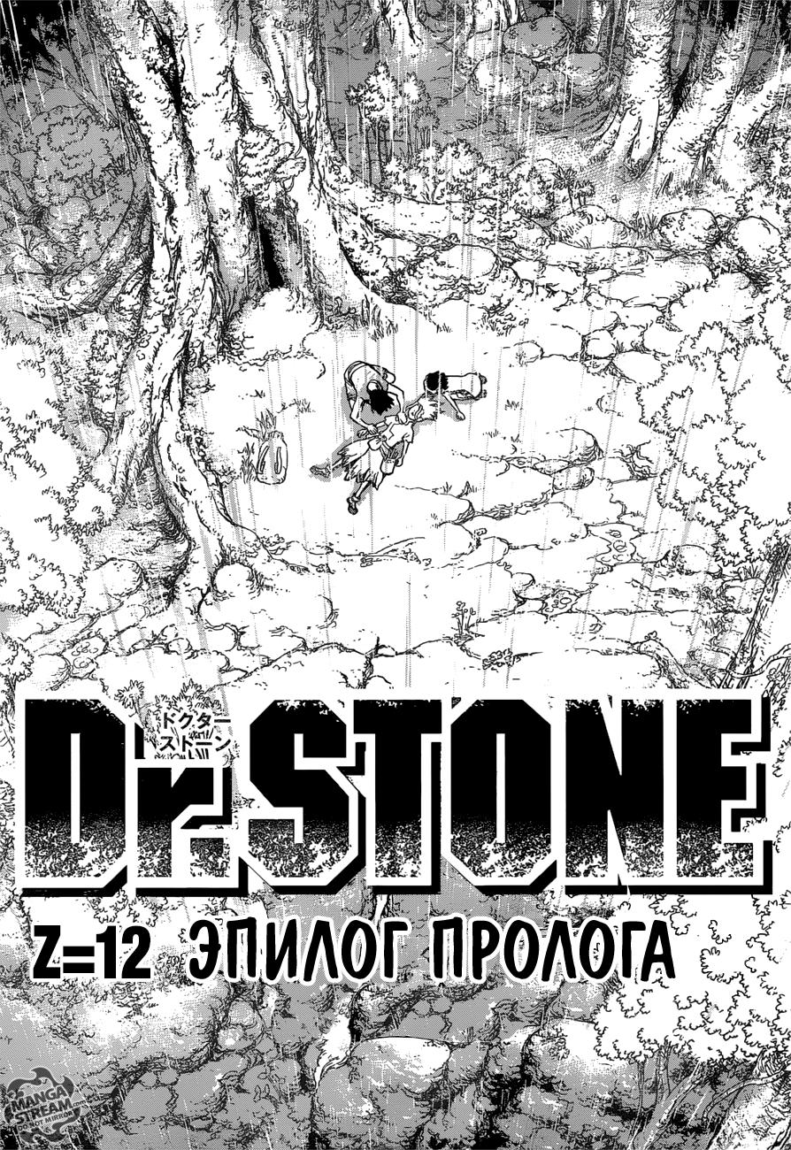 Read Dr. Stone RU Manga Online