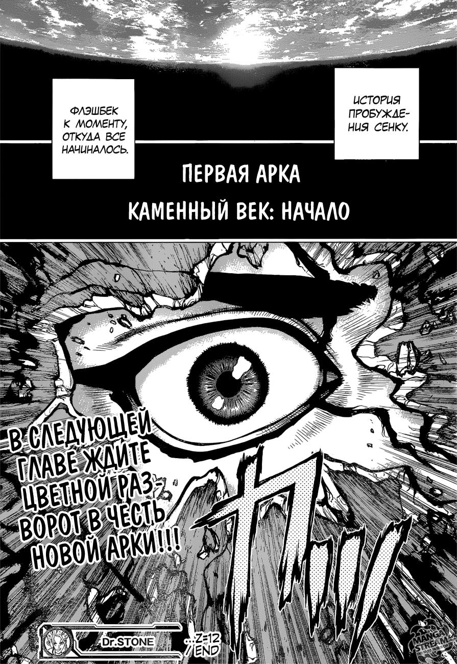 Read Dr. Stone RU Manga Online