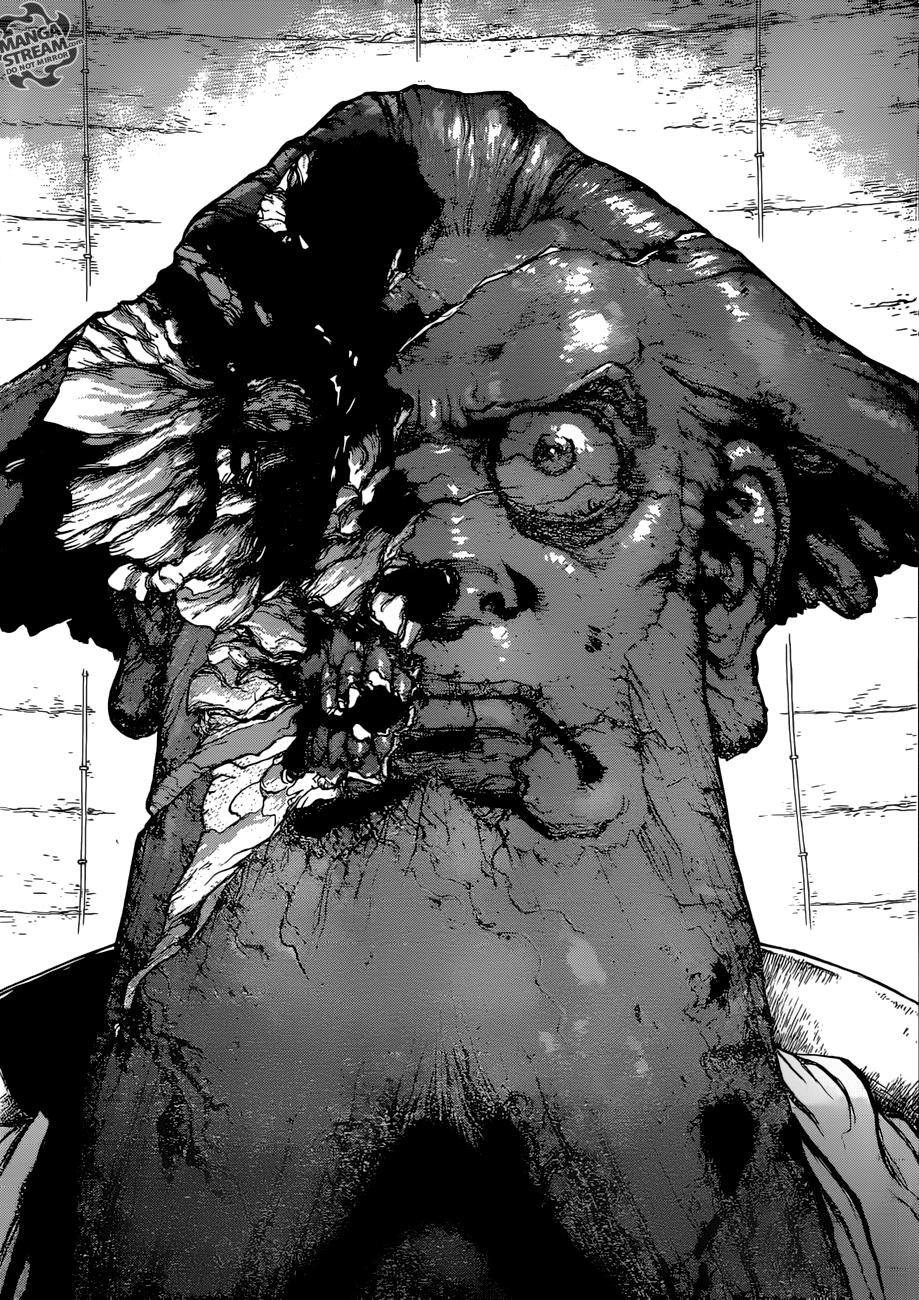Read Dr. Stone RU Manga Online