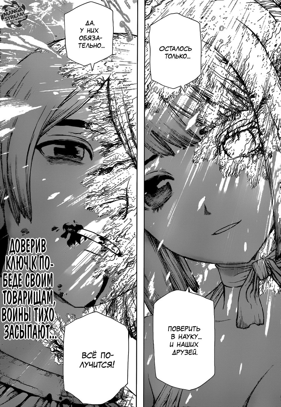 Read Dr. Stone RU Manga Online