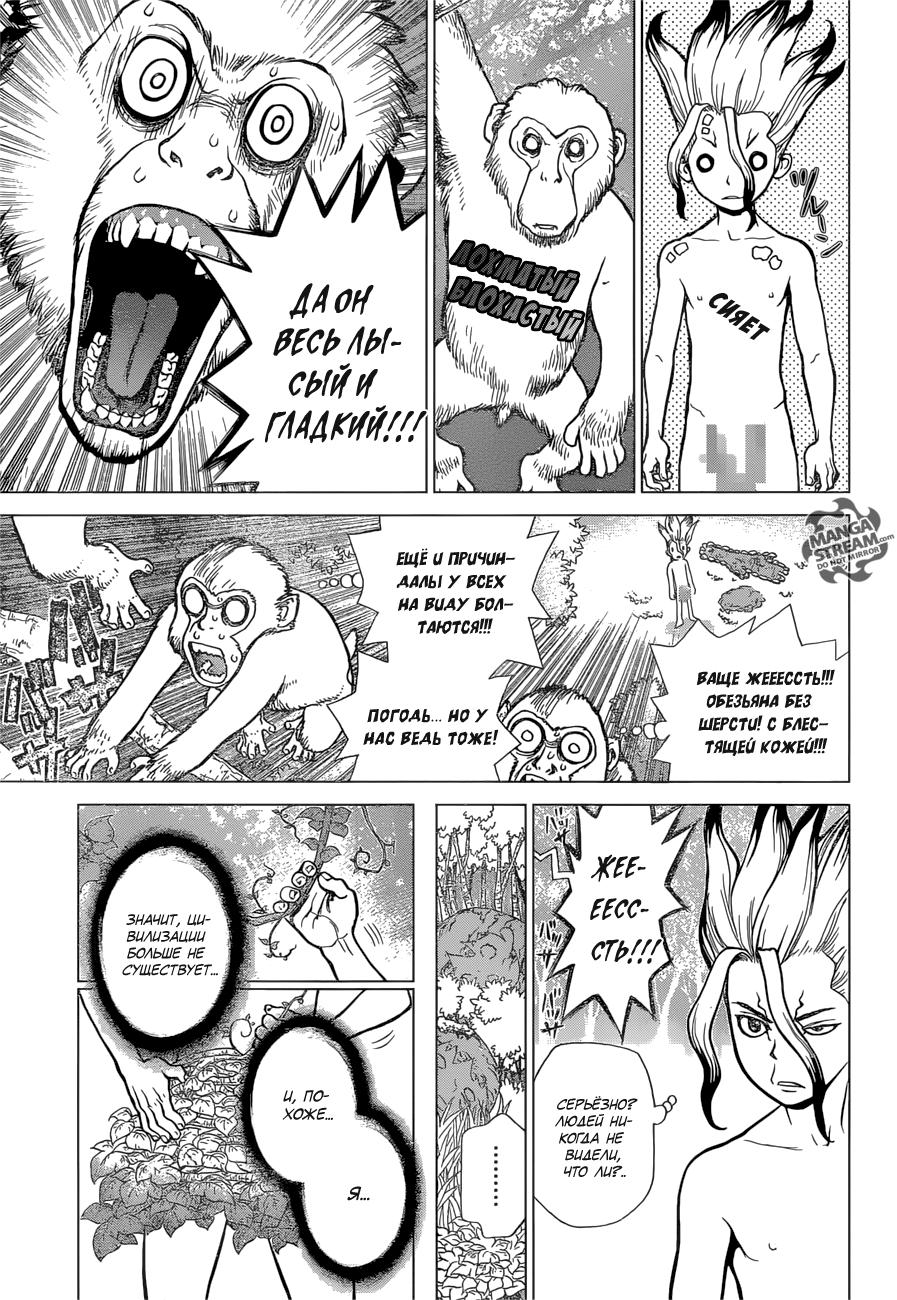 Read Dr. Stone RU Manga Online