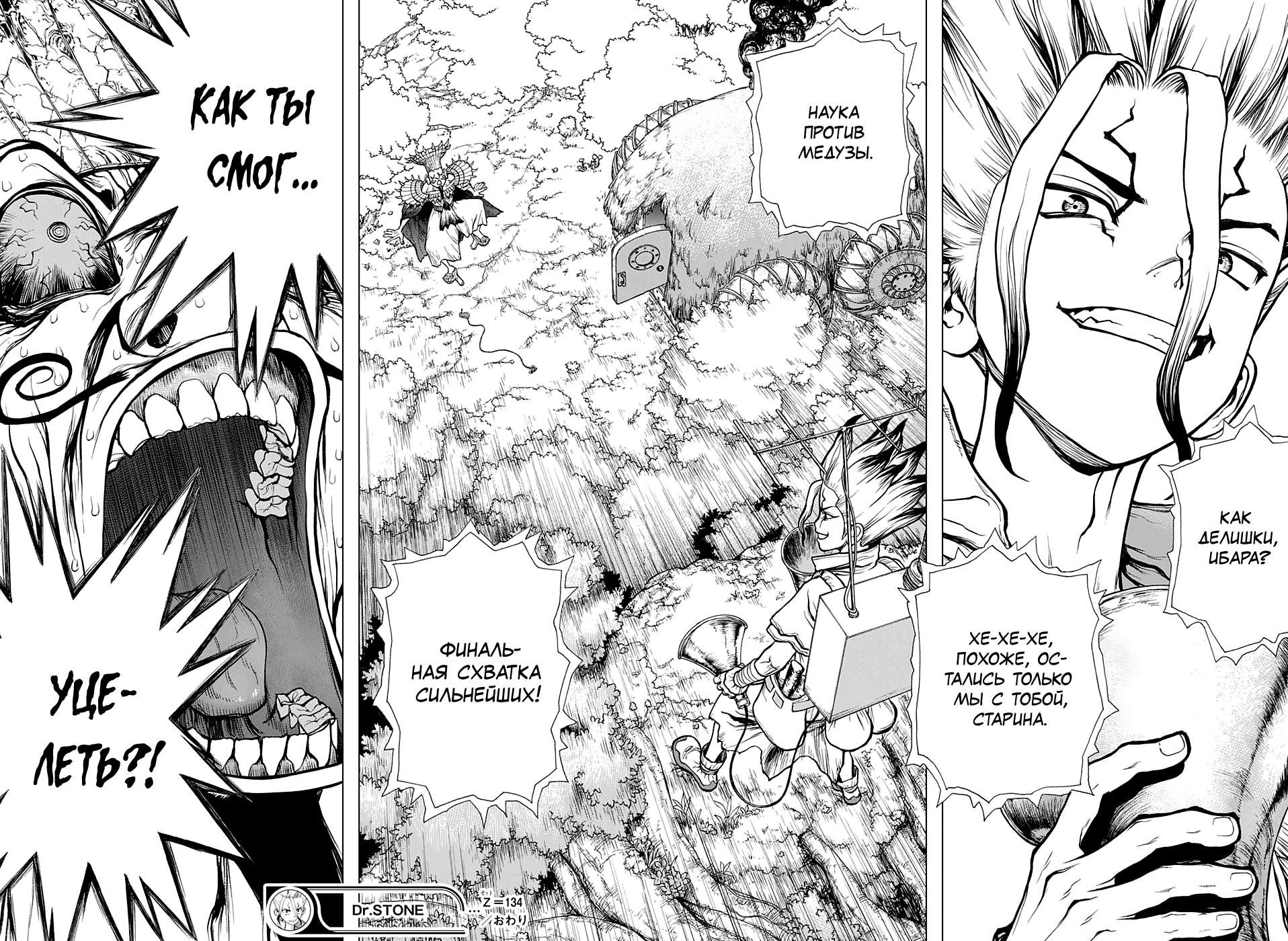 Read Dr. Stone RU Manga Online