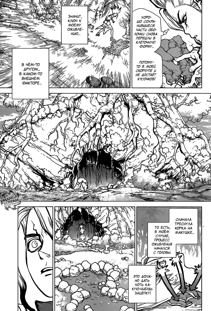 Read Dr. Stone RU Manga Online
