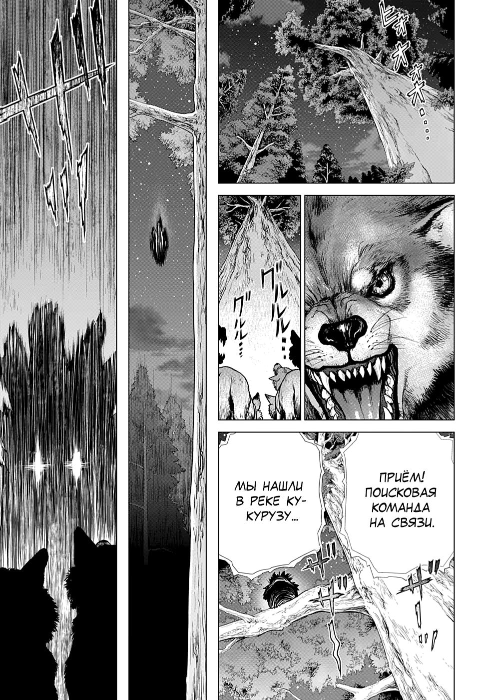 Read Dr. Stone RU Manga Online