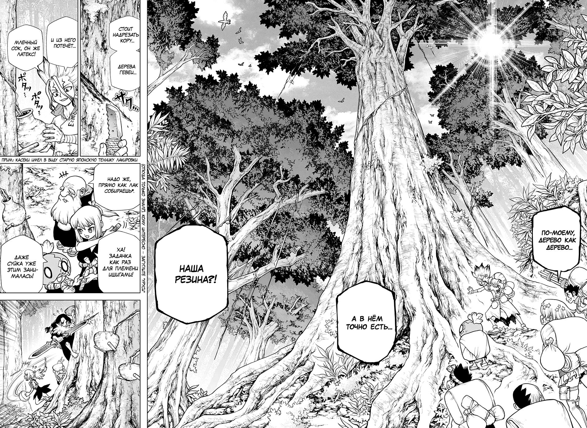 Read Dr. Stone RU Manga Online