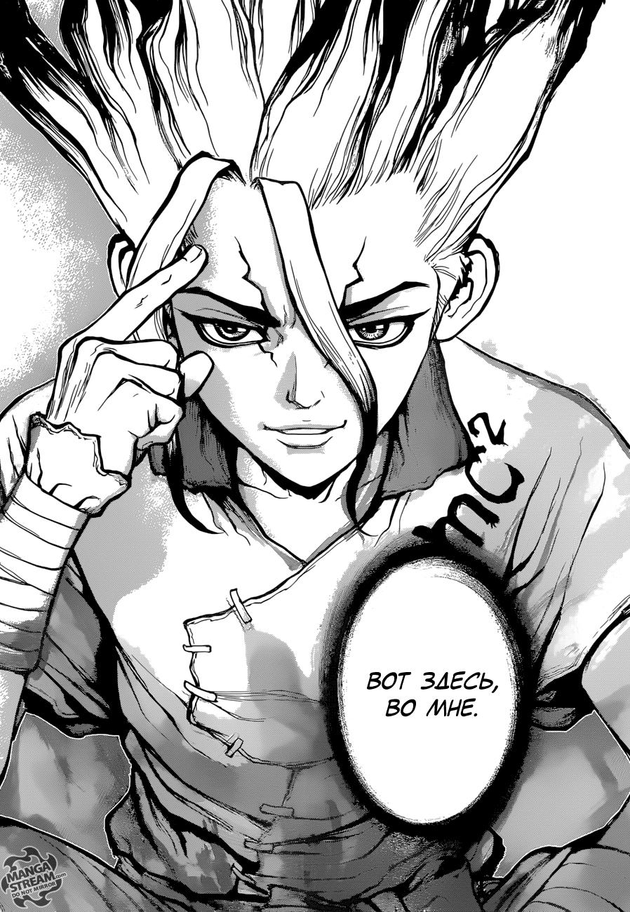 Read Dr. Stone RU Manga Online