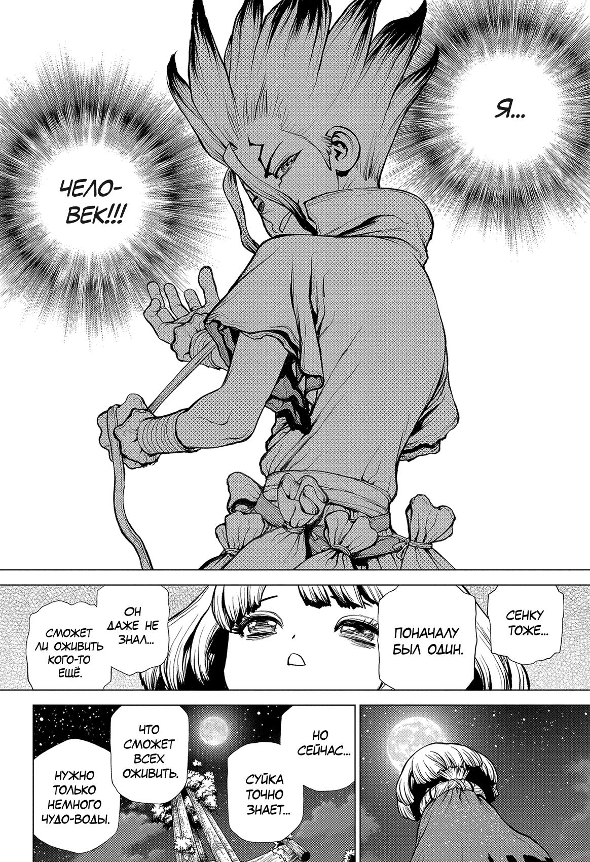 Read Dr. Stone RU Manga Online