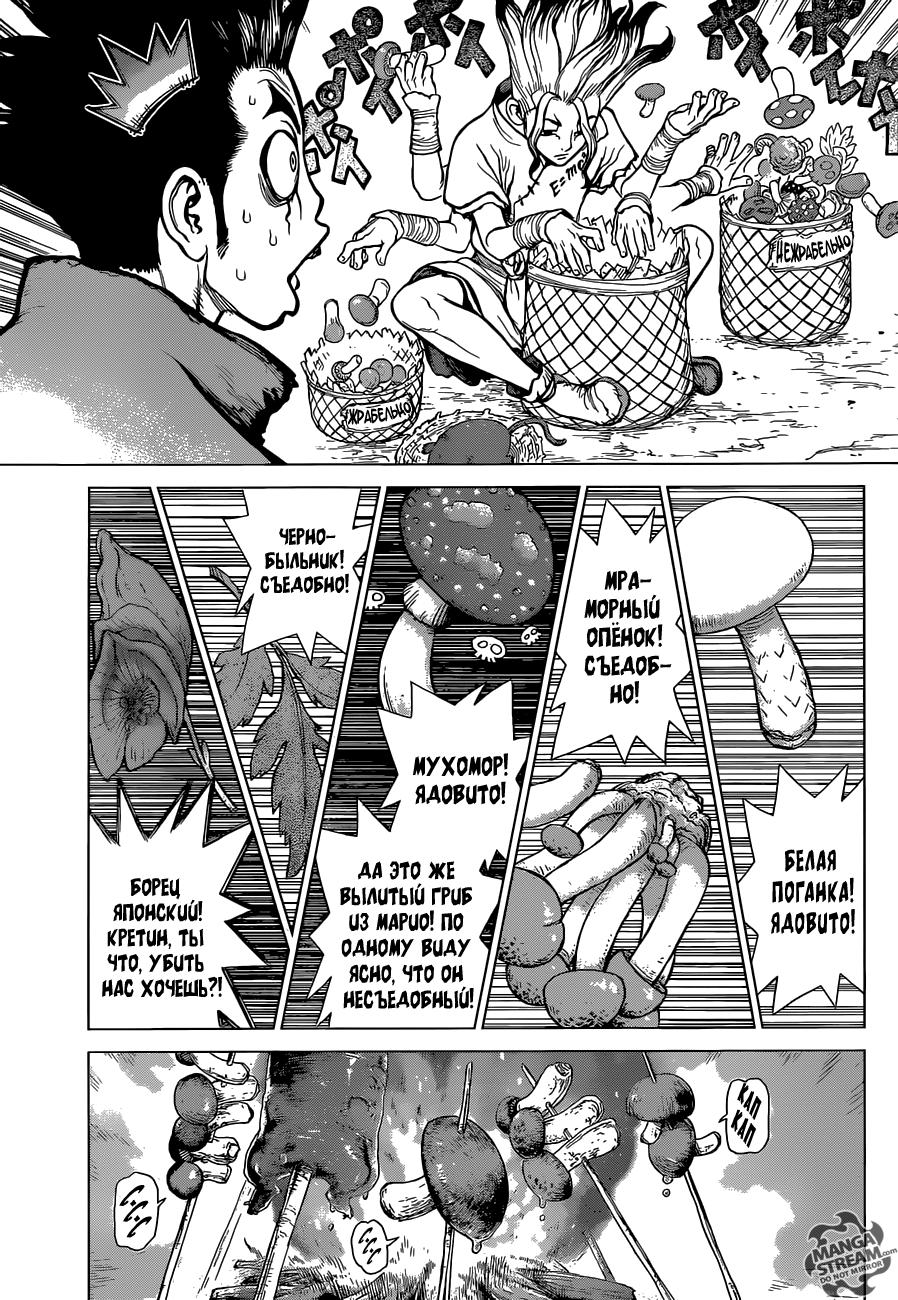 Read Dr. Stone RU Manga Online