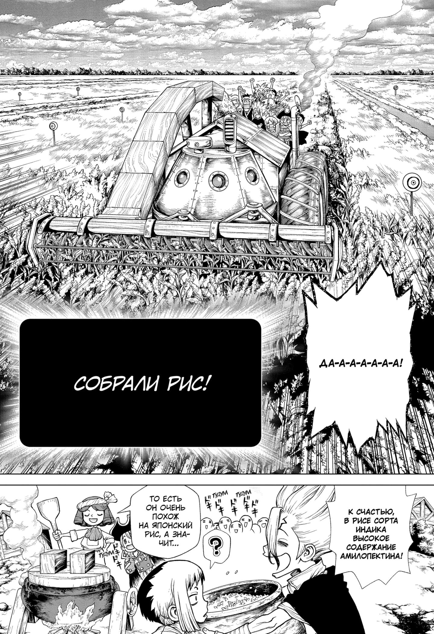 Read Dr. Stone RU Manga Online