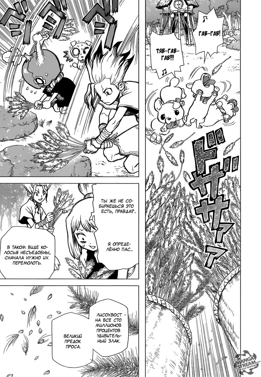 Read Dr. Stone RU Manga Online