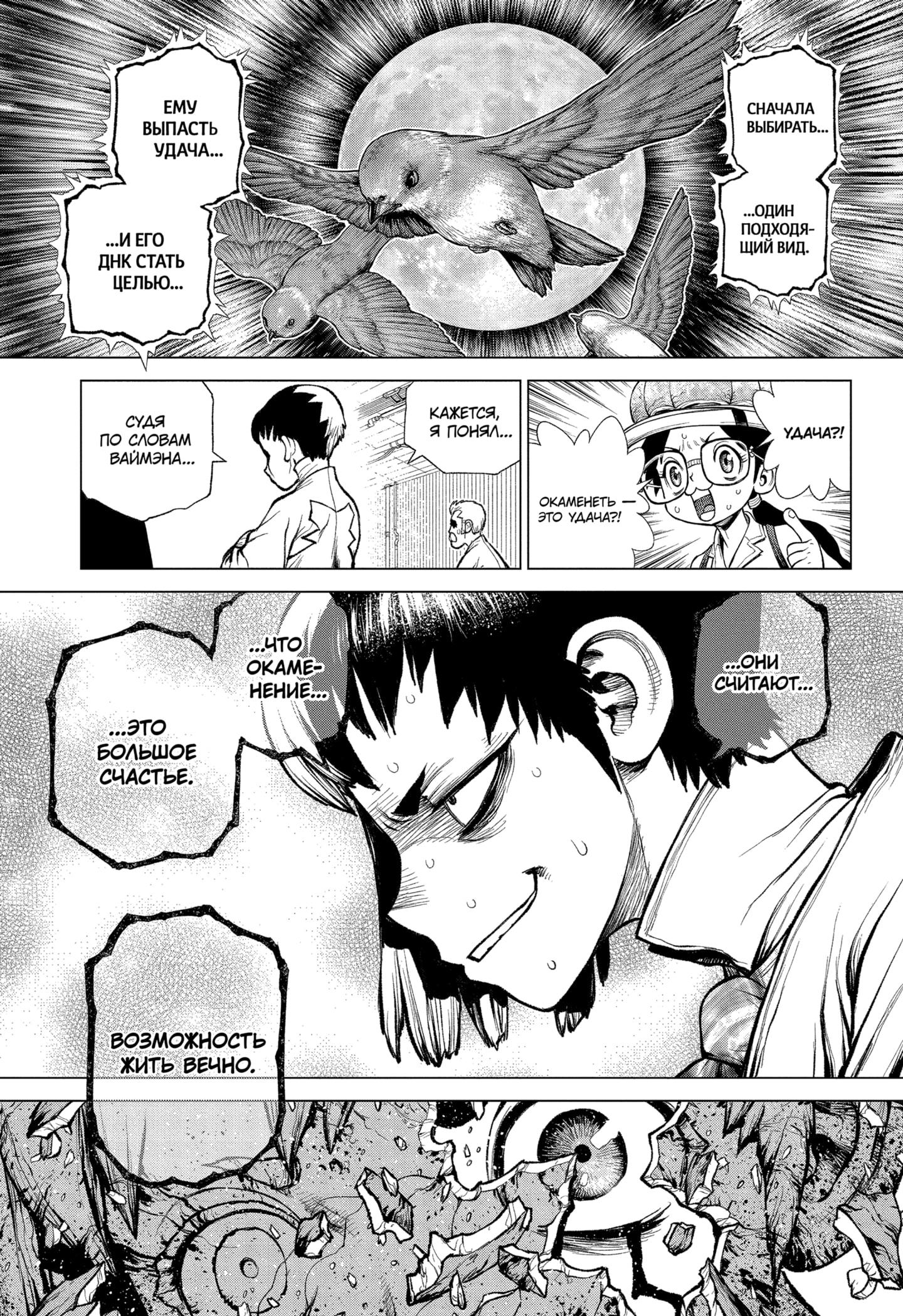 Read Dr. Stone RU Manga Online