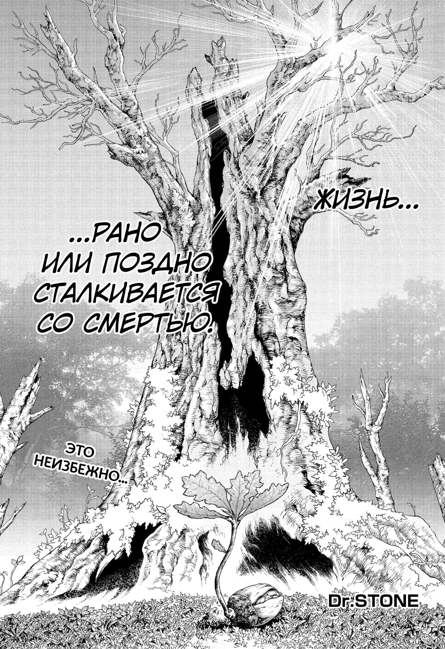 Read Dr. Stone RU Manga Online