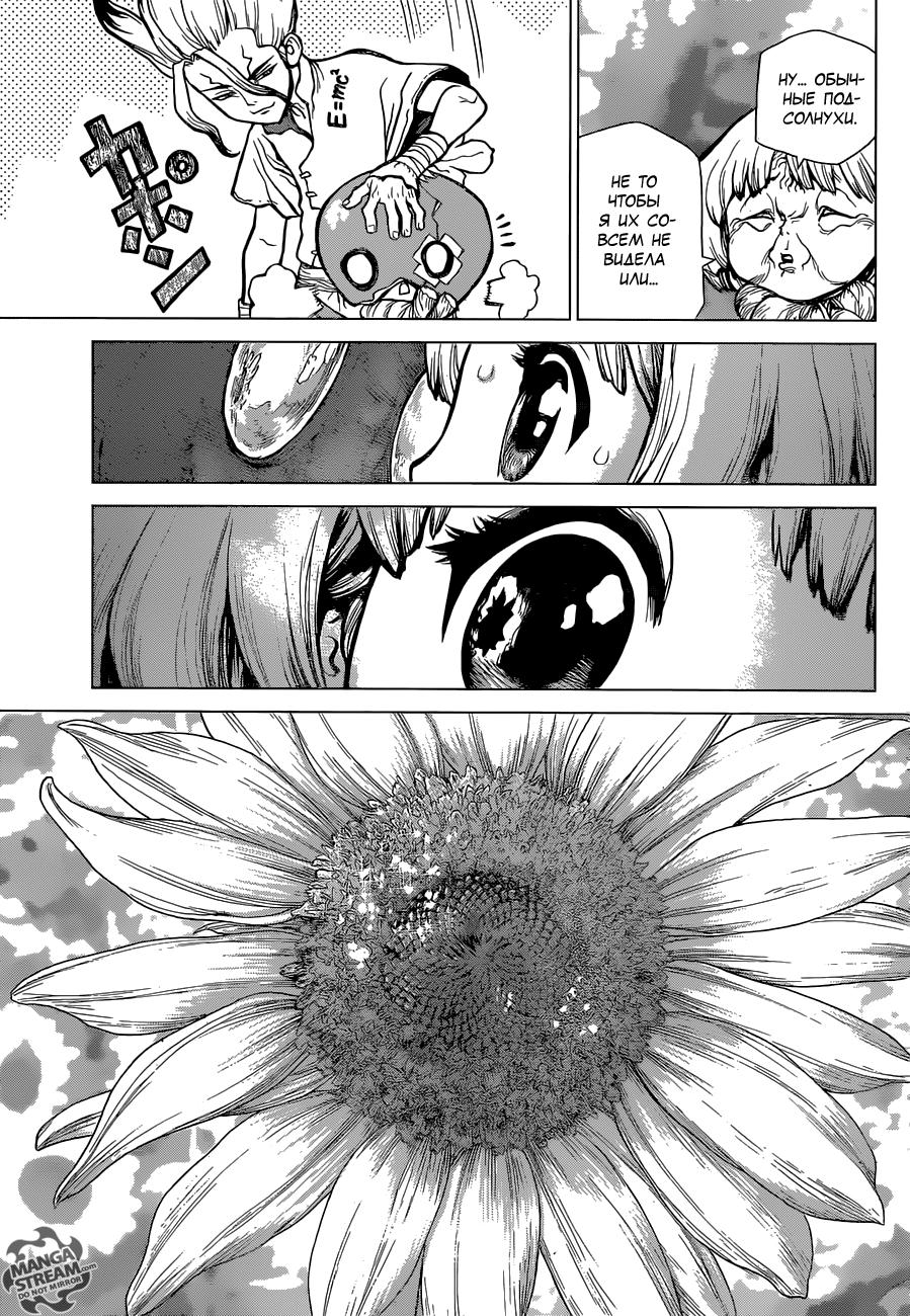 Read Dr. Stone RU Manga Online