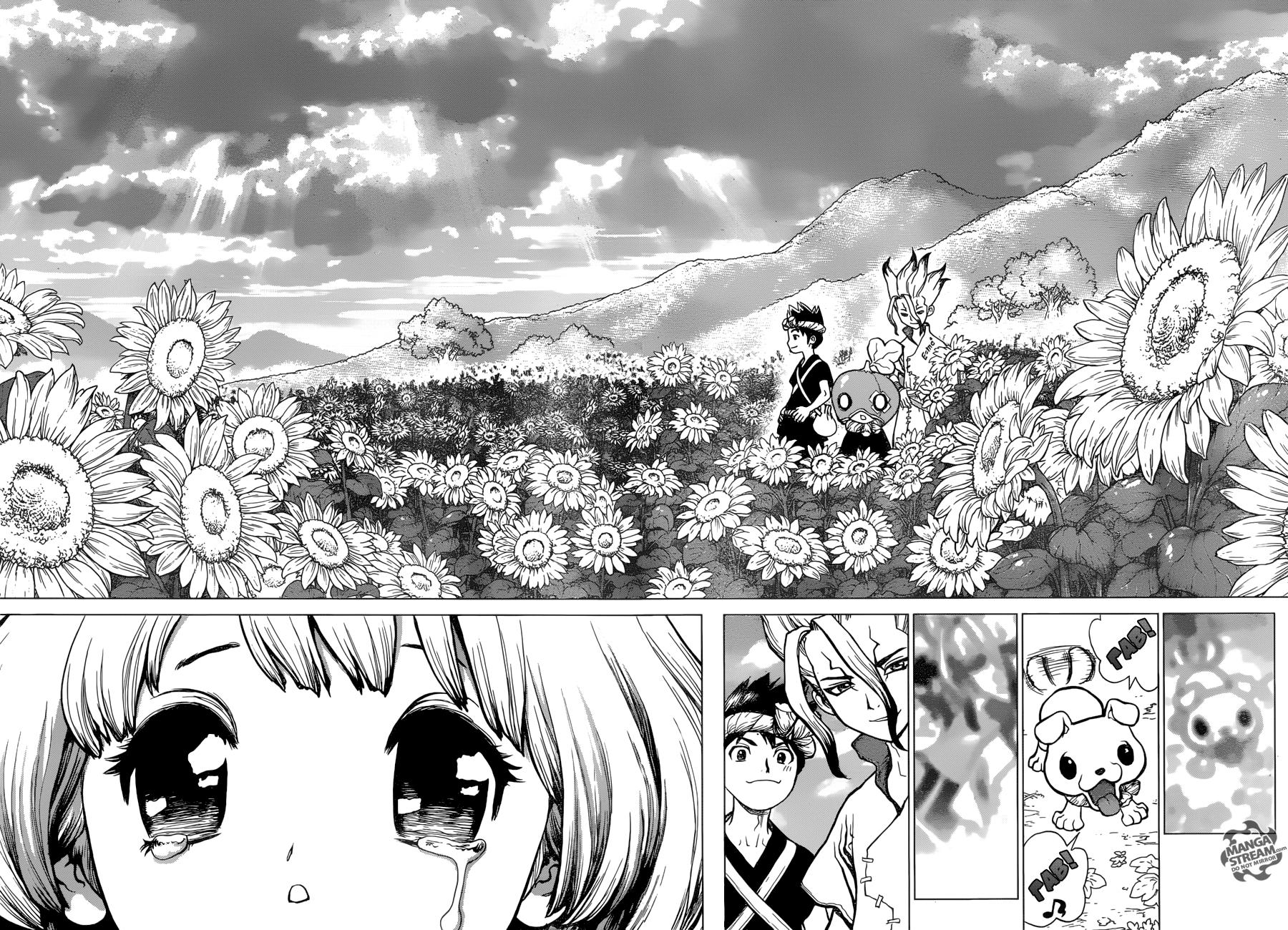 Read Dr. Stone RU Manga Online