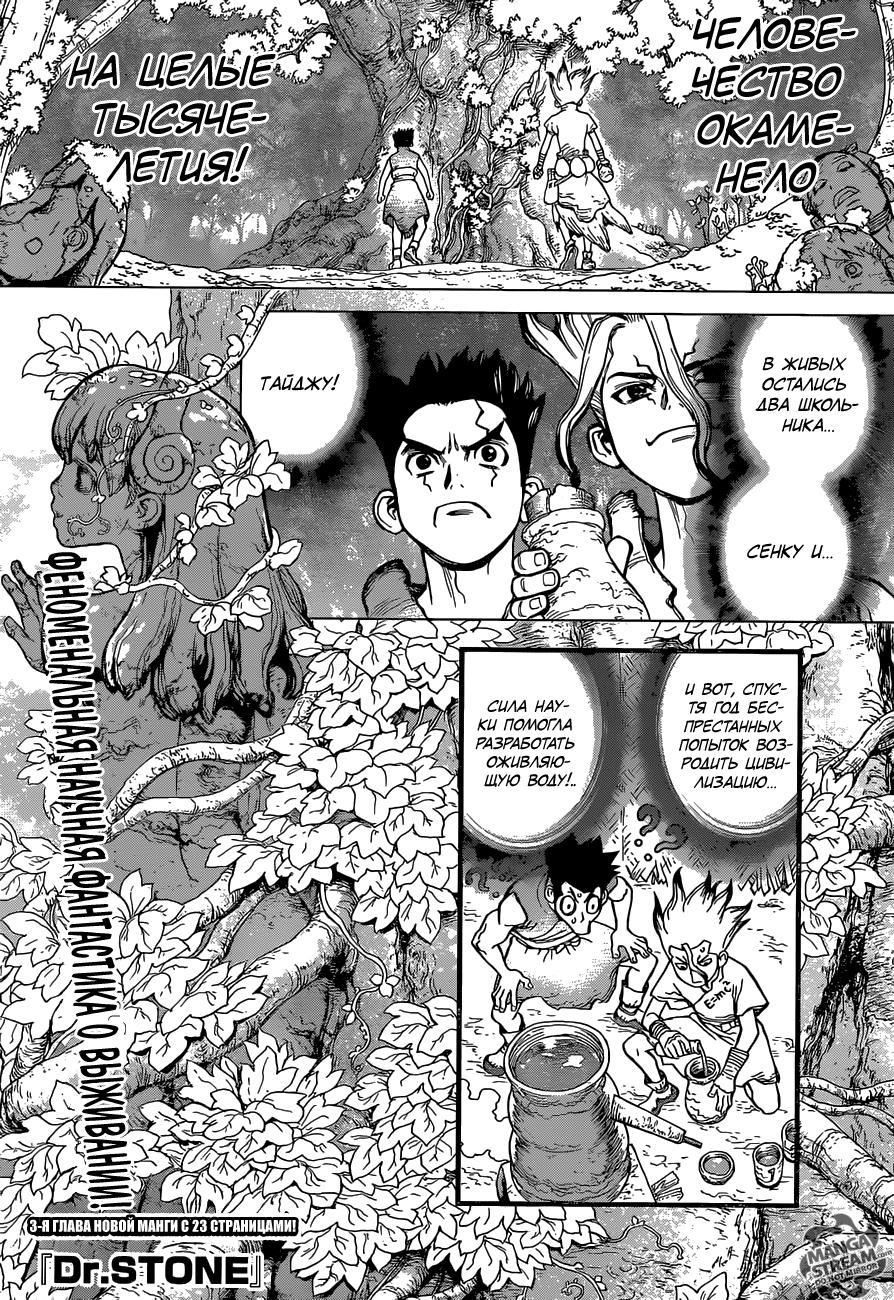 Read Dr. Stone RU Manga Online