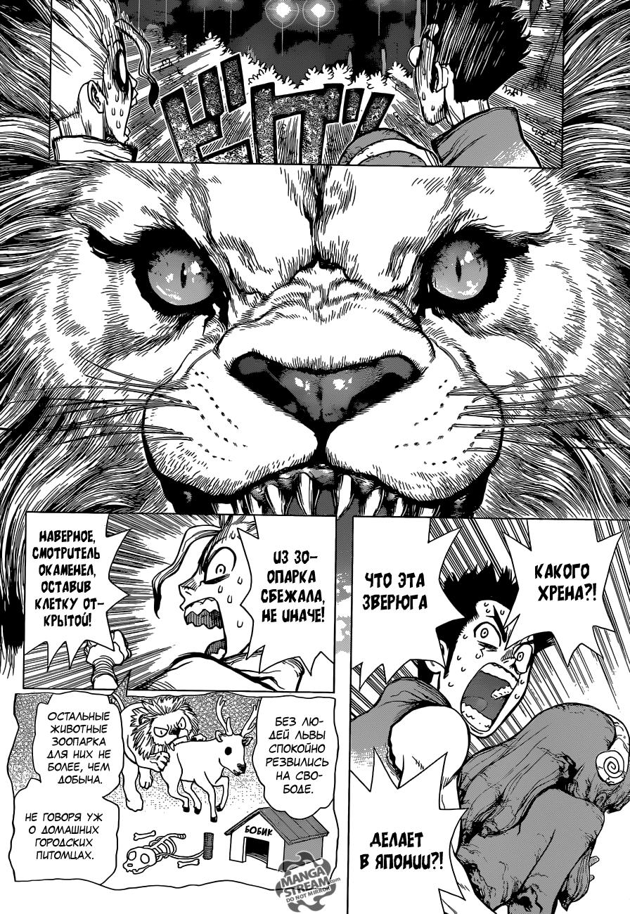Read Dr. Stone RU Manga Online