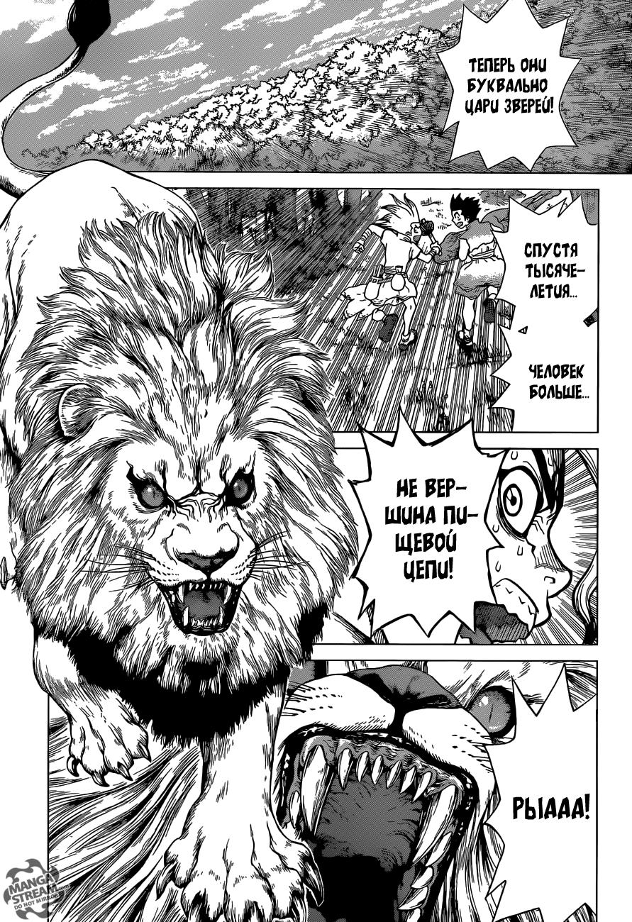 Read Dr. Stone RU Manga Online