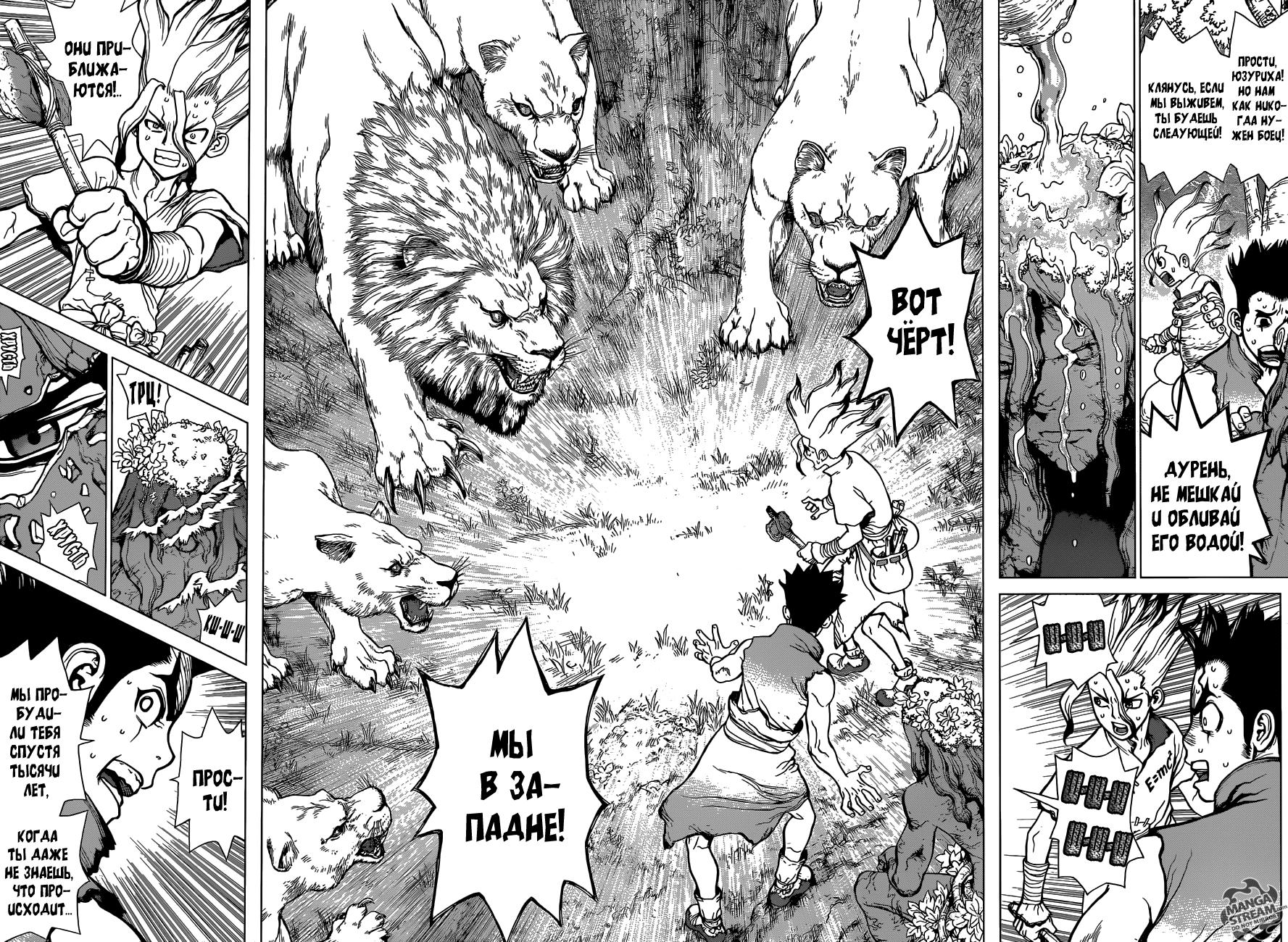 Read Dr. Stone RU Manga Online