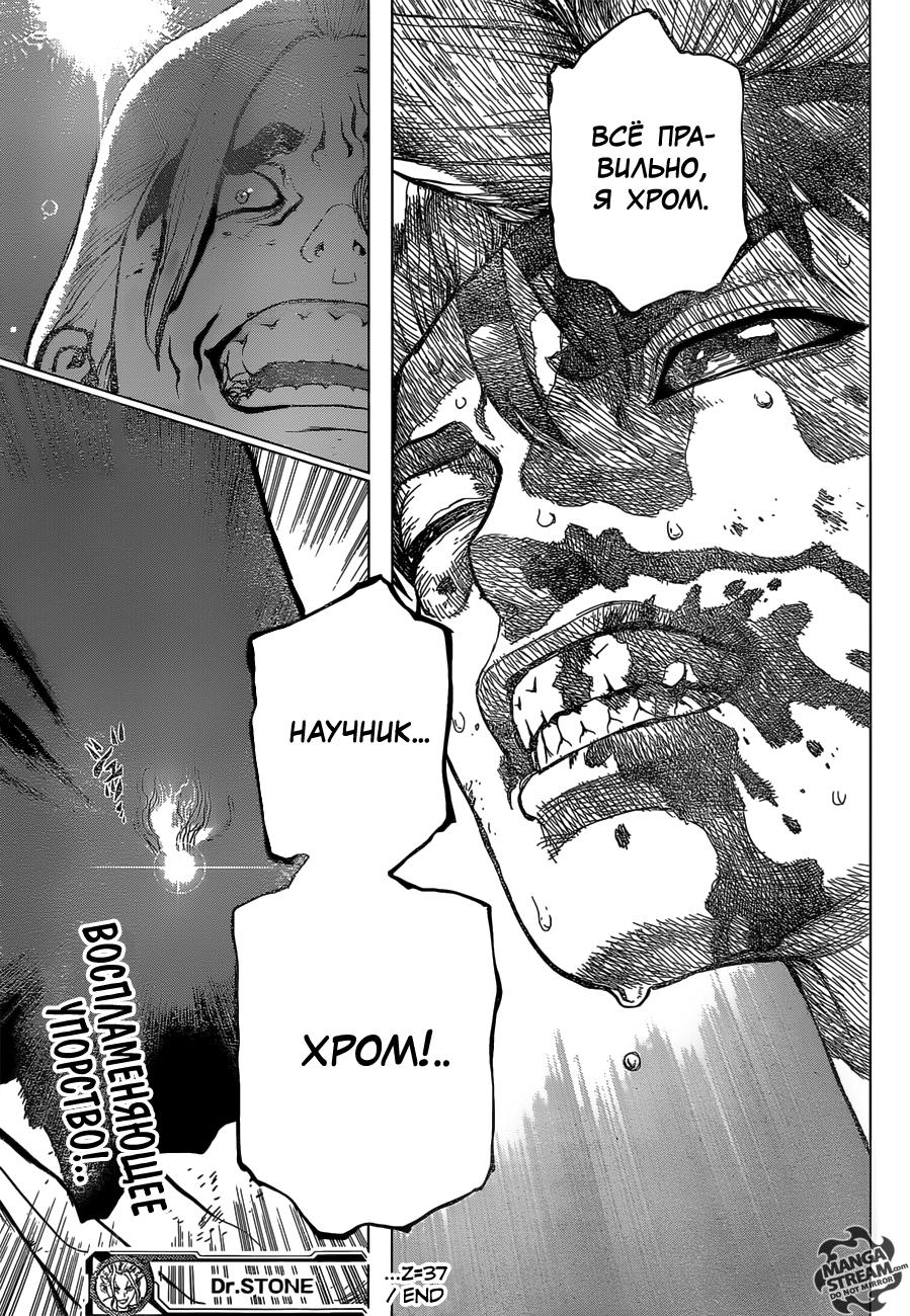 Read Dr. Stone RU Manga Online