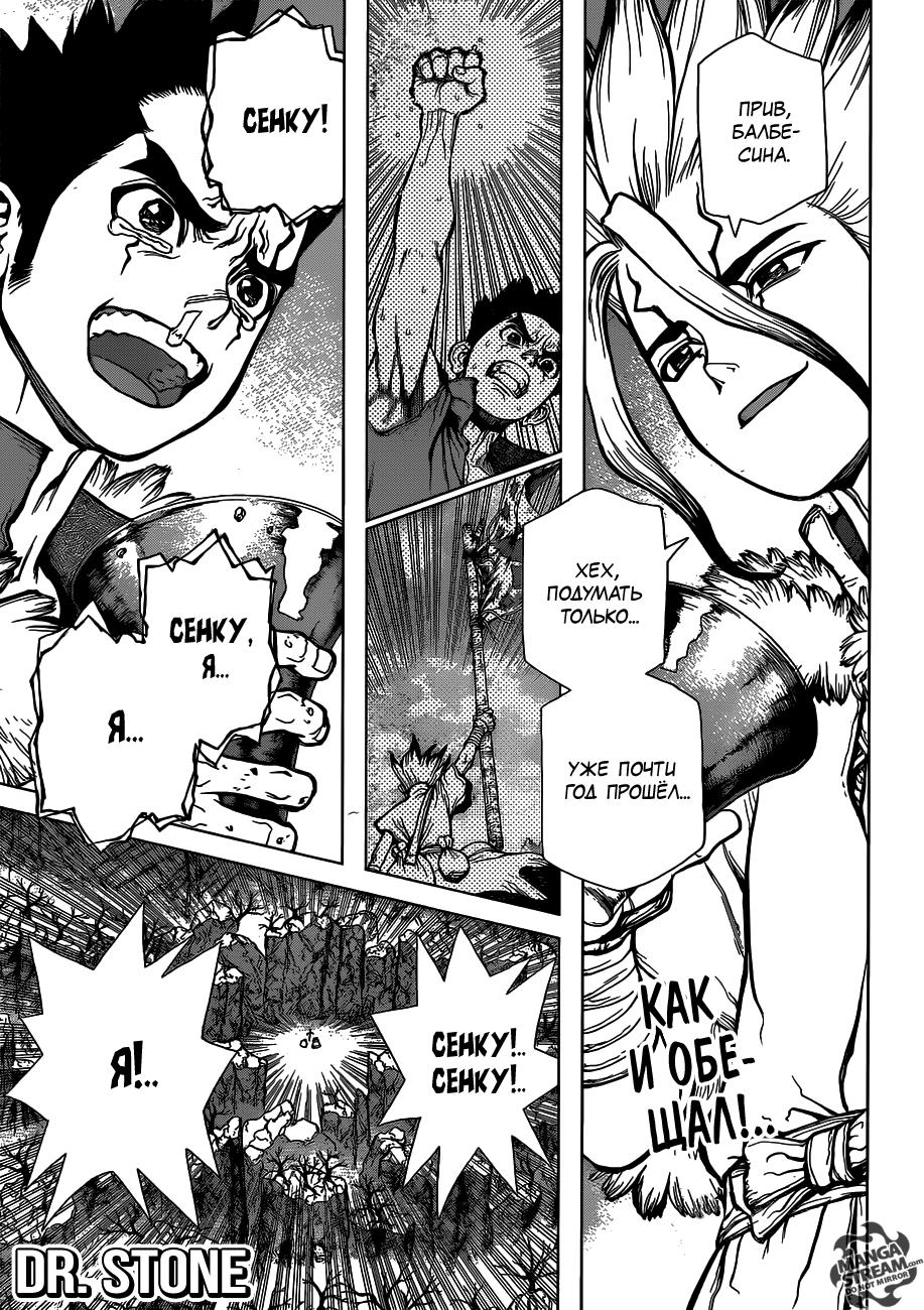 Read Dr. Stone RU Manga Online