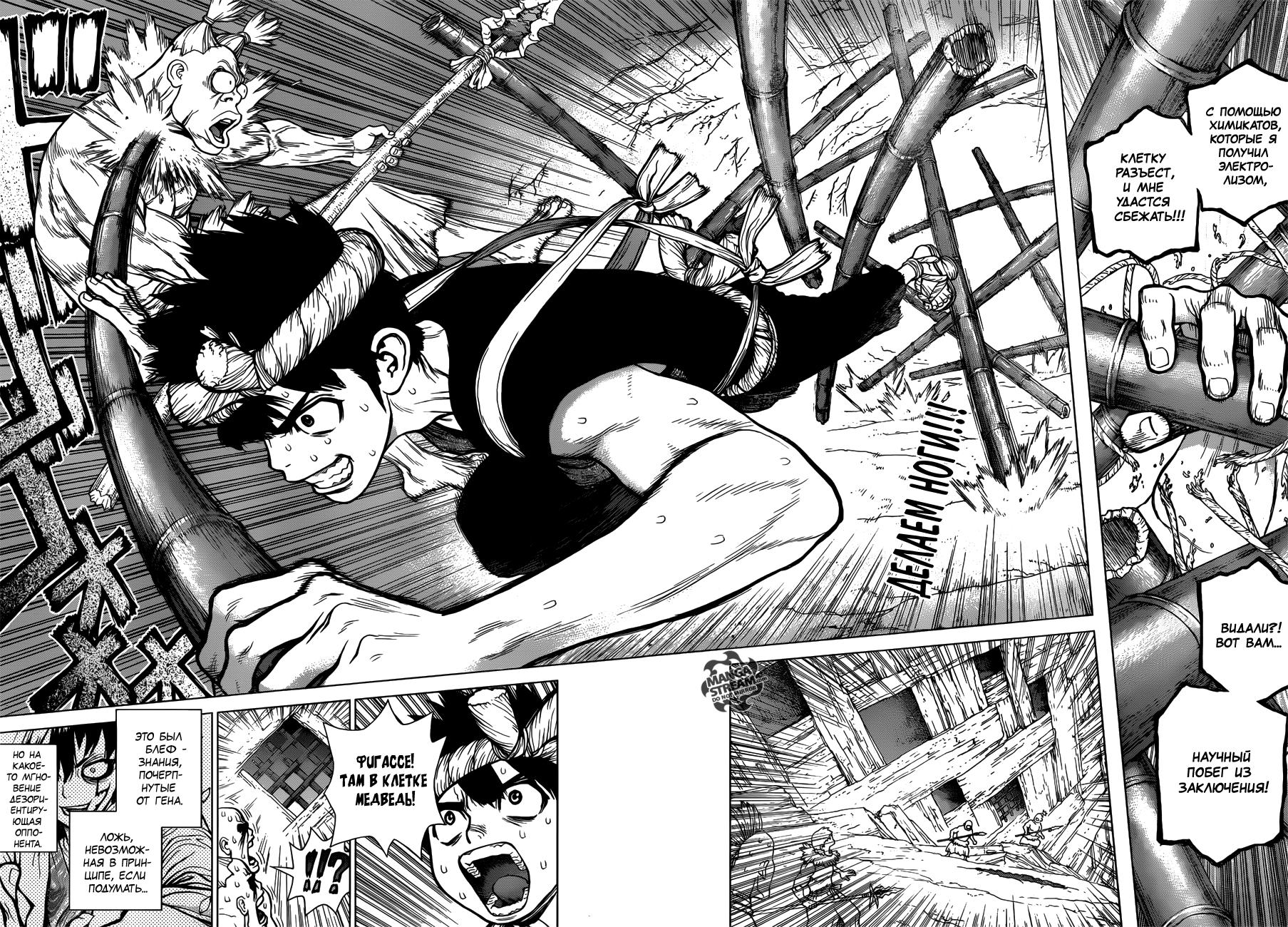 Read Dr. Stone RU Manga Online