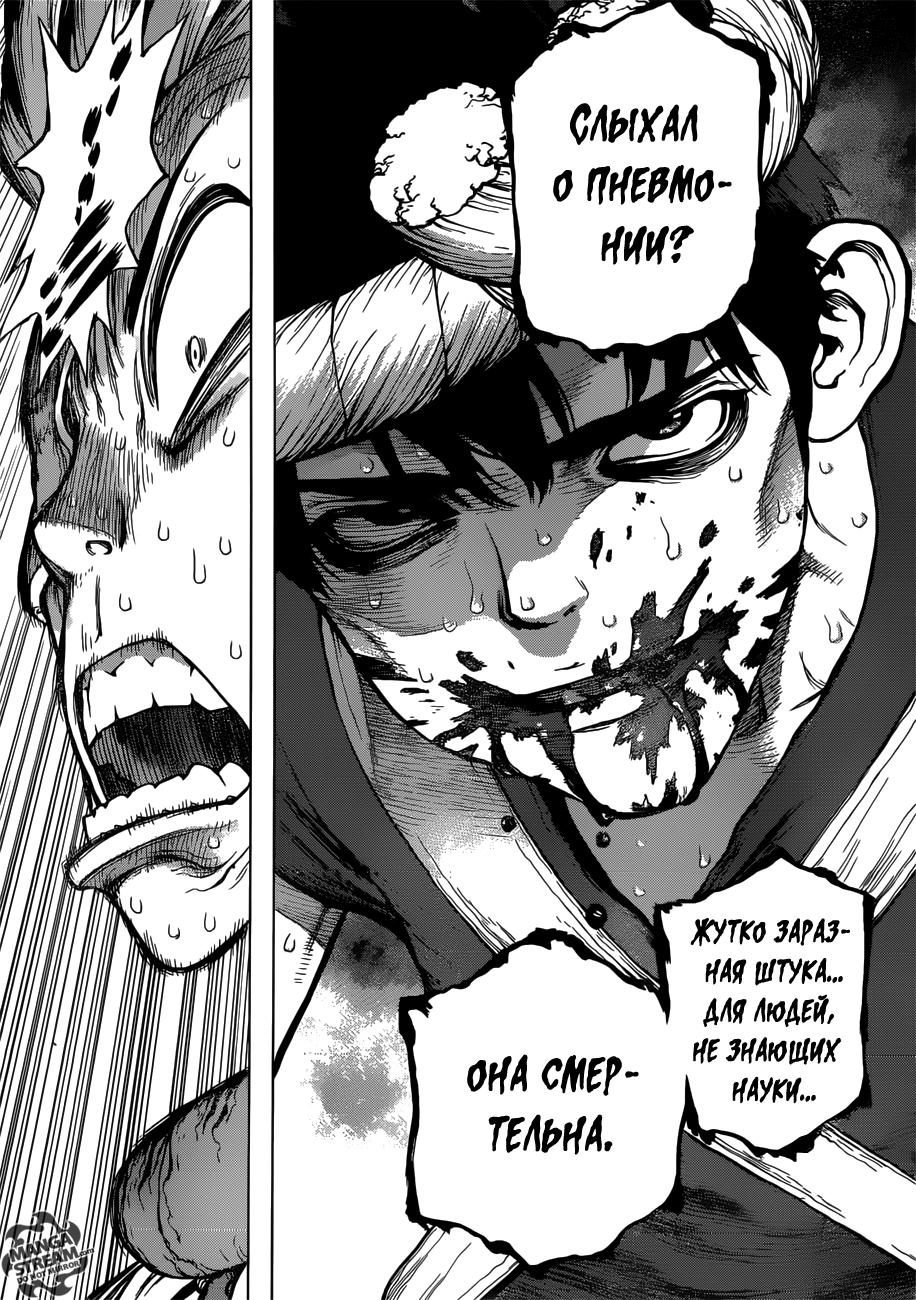 Read Dr. Stone RU Manga Online
