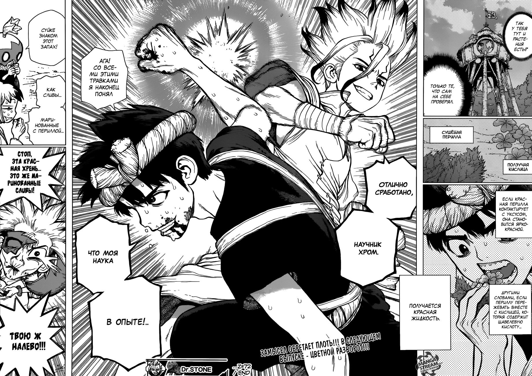 Read Dr. Stone RU Manga Online