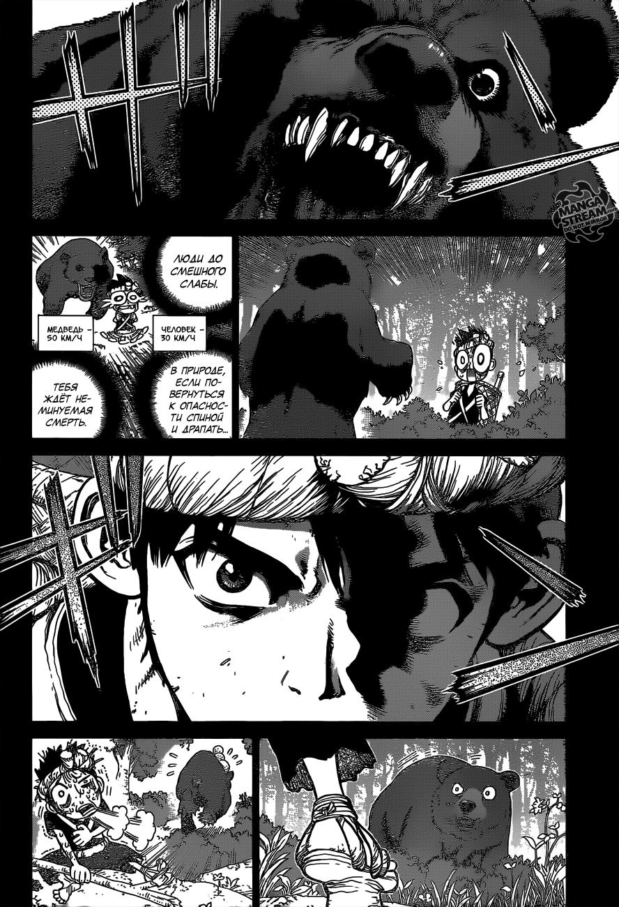 Read Dr. Stone RU Manga Online