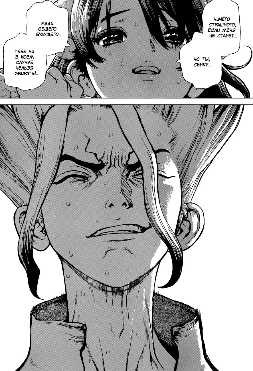 Read Dr. Stone RU Manga Online