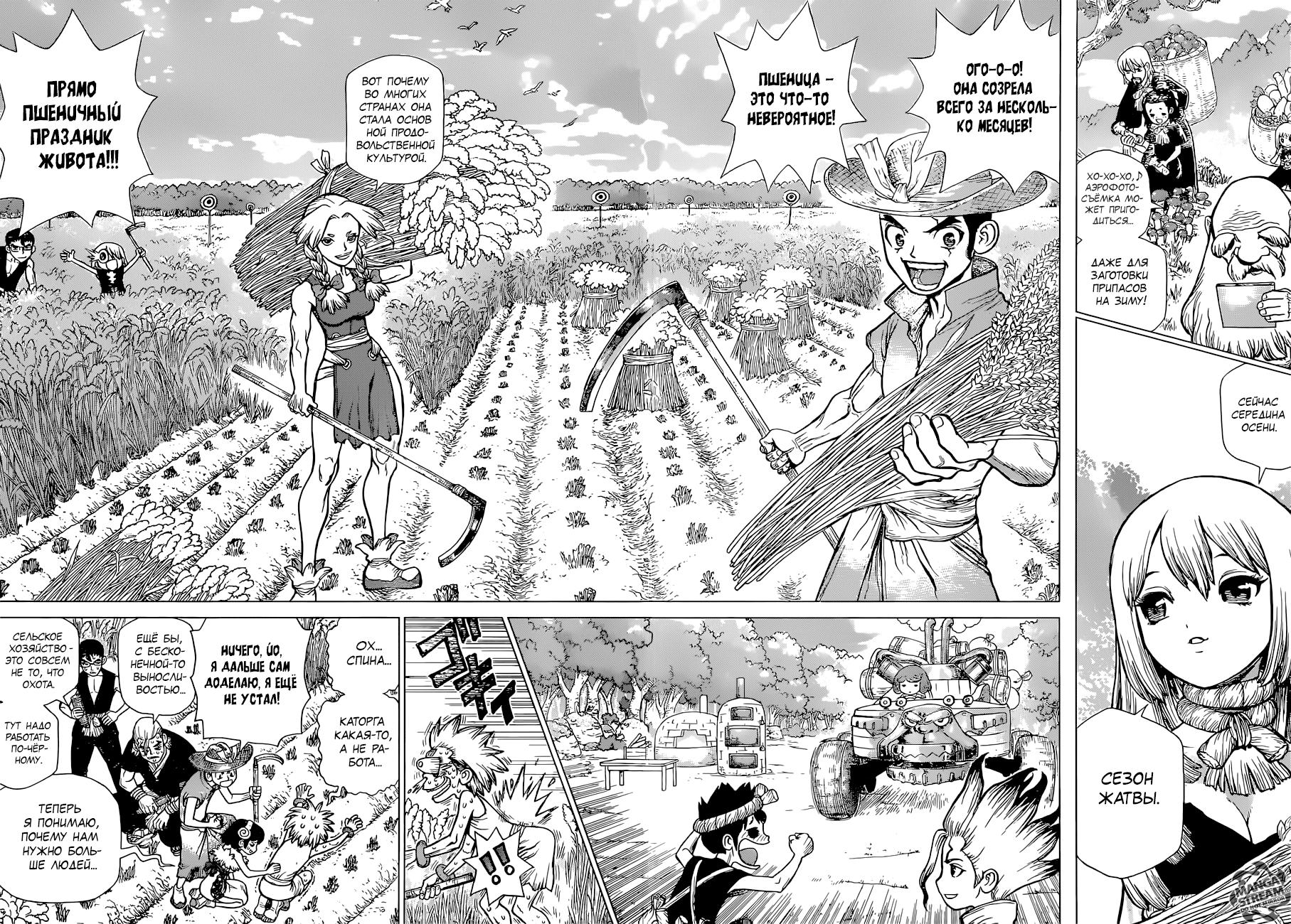 Read Dr. Stone RU Manga Online