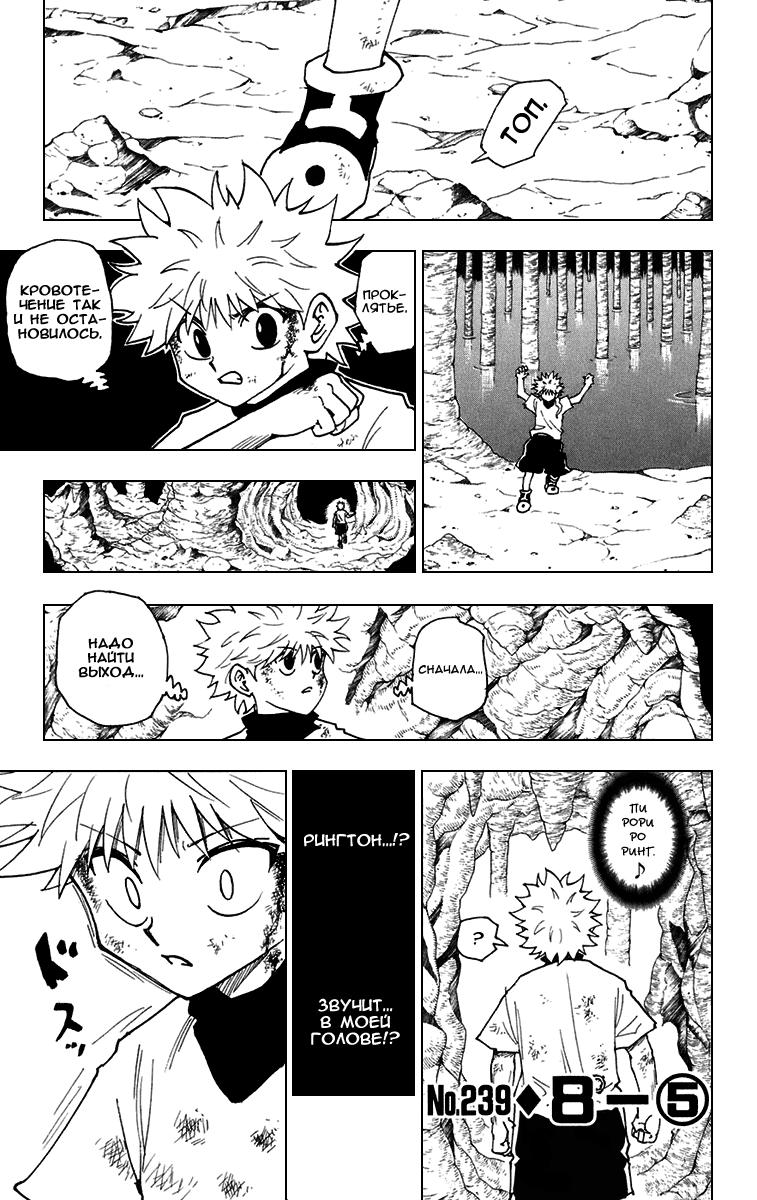 Read HUNTER×HUNTER RU Manga Online