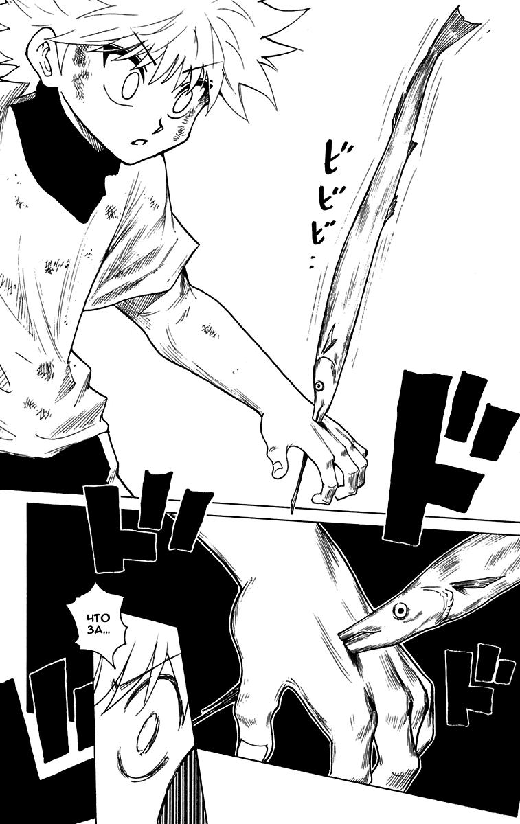 Read HUNTER×HUNTER RU Manga Online