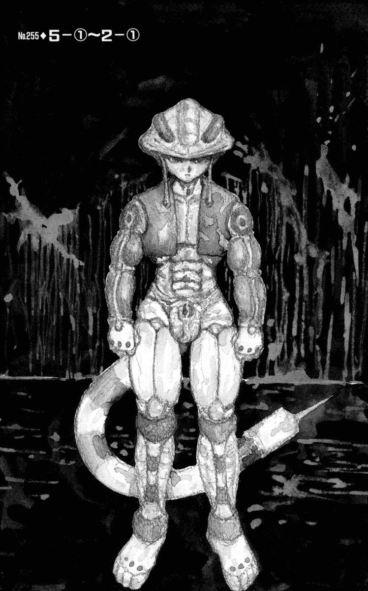 Read HUNTER×HUNTER RU Manga Online