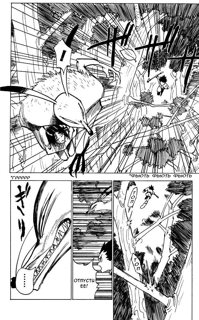 Read HUNTER×HUNTER RU Manga Online